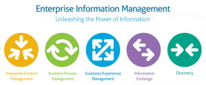Enterprise Information Management(1)
